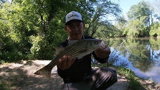 Patuxent river fishing [upl. by Quinton]