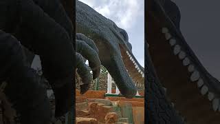 BALUARTE ZOO VIGAN ILOCOS SUR adventure tourism zoo shorts shortsviral travel viral [upl. by Frodin]