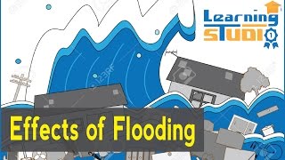 What are the effects of flooding [upl. by Jacqui]