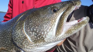 Lake Trout Jigging Techniques That Guides Dont Want You to Know [upl. by Allana785]