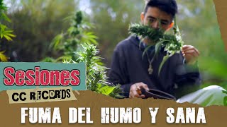 Zona Ganjah  Fuma Del Humo Y Sana Sesiones CC Records I Con letra [upl. by Row]