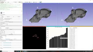 SlicerMorph Realtime 3D PCA visualizations [upl. by Ahsital]