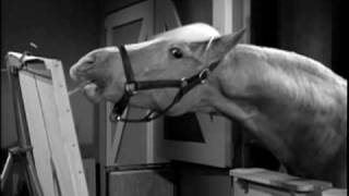 Mister Ed Seasons 1 amp 2  DVD Trailer [upl. by Sirrah]