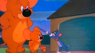 Tom and Jerry  Episode 74  Jerry and Jumbo 1951 [upl. by Maghutte]