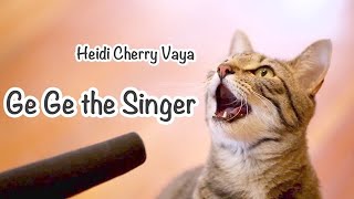 Fun Bedtime Story For Kids  Heidi Cherry amp Vaya  Ge Ge the Singer [upl. by Llekcir870]