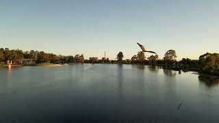 Shepparton VIC  Australia by drone 3 [upl. by Elrae767]