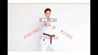 Lesson 2  Kyokushin Karate Kihon follow along [upl. by Dominic]