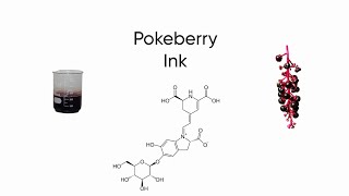 How To Make Pokeberry Ink [upl. by Feingold]