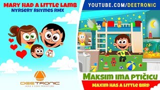 MAKSIM IMA PTICICU  Maxim Has a Little Bird  Nursery Rhyme Remix  Mary Had a Little Lamb RMX [upl. by Anita]