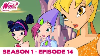 Winx Club  Season 1 Episode 14  Blooms Dark Secret  FULL EPISODE [upl. by Ibrad555]