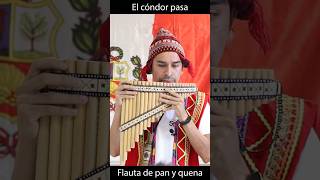 El cóndor pasa  Flauta de pan y quena musicaandina flautadepan quena [upl. by Merritt]