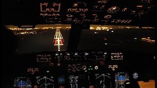 Pilots Eye  Cockpit Night Landing [upl. by Anitahs]