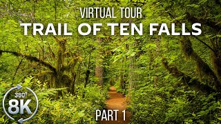 Virtual Hike 360° VR  Forest Walk along the Trail of Ten Falls  8K Virtual Relaxation  Part 1 [upl. by Themis]