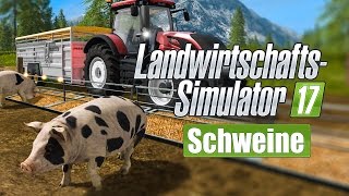 FARMING SIMULATOR 17 Schweine Schweinezucht und Futter I FEATURE LS 17 [upl. by Lida]