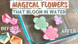 Magic Blooming Paper Flowers  Fun STEM Activity For Kids [upl. by Kutchins231]