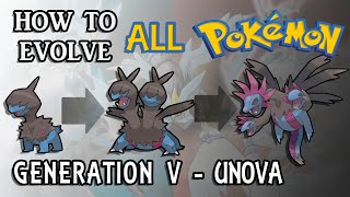 How To Evolve All Pokémon  Generation 5 Unova [upl. by Aihsekyw]