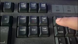Number Keys not Working in Windows 10 [upl. by Gillie]