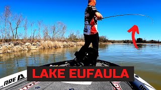 Lake Eufaula MLF REDCREST Championship [upl. by Nrobyalc67]