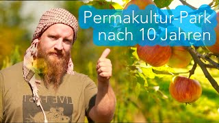 Permakultur Projekt nach 10 Jahren  Jonas Gampe [upl. by Livvyy]