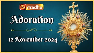 🔴 LIVE 12 November 2024 Adoration 1100 AM  Madha TV [upl. by Eyanaj]