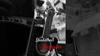 Dunkelheit  BURZUM  Acoustic cover [upl. by Inge]