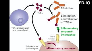 adalimumab uses and moa [upl. by Nozicka]