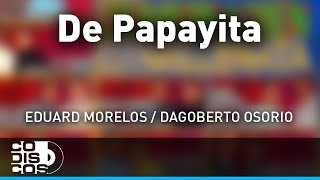 De Papayita La Combinación Vallenata  Audio [upl. by Yesiad]