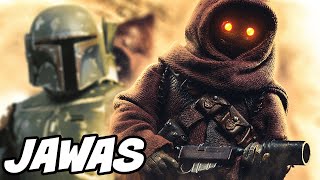 11 Interesting Facts About Jawas in The Mandalorian [upl. by Hoebart]