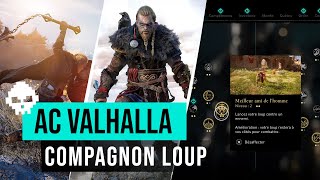 Débloquer un compagnon loup et une aptitude unique  Assassins Creed Valhalla Astuces [upl. by Fromma]