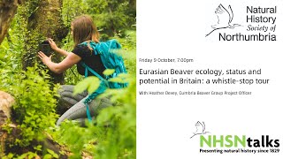 Beaver ecology status and potential in Britain a whistlestop tour [upl. by Brynna]