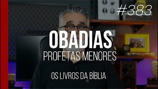 Livro do Profeta Obadias   Ob   Livros da Bíblia 383 [upl. by Anitroc]