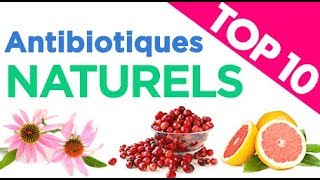 Top 10 des Antibiotiques Naturels [upl. by Grand558]