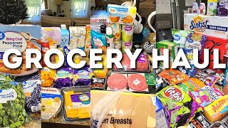 NEW WALMART GROCERY HAUL  HUGE WALMART GROCERY HAUL  NICOLE BURGESS GROCERY HAUL [upl. by Doggett]