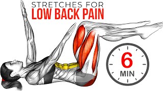 Best Back and Core Exercises For Lower Back Pain [upl. by Atsiuqal]