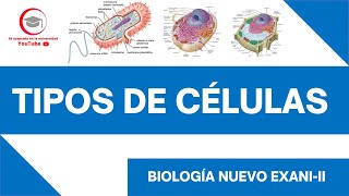 TIPOS DE CÉLULAS  BIOLOGÍA  NUEVO EXANIII [upl. by Polk538]