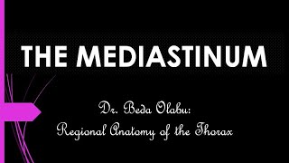 DIVISIONS amp CONTENTS OF THE MEDIASTINUM [upl. by Saffren21]