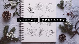 How to Draw Winter Greenery  Holly Eucalyptus Cedar Mistletoe [upl. by Ranie774]