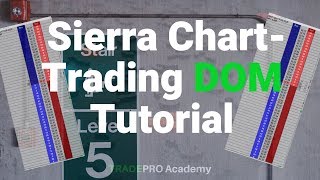 Sierra ChartHow to use the Trading DOM [upl. by Kcirednek764]