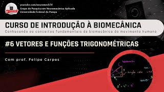 INTRODUÇÃO À BIOMECÂNICA 6 Vetores e funções trigonométricas [upl. by Yruam]