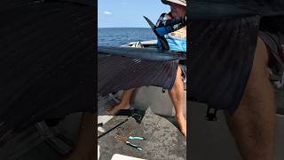 Monster Fish  How did he Get it shorts fishing billfish sailing ocean new today boat new [upl. by Gibb]