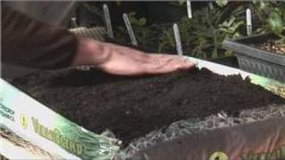 Planting From Seeds  How to Grow Seeds in Plastic Bags [upl. by Kerri]