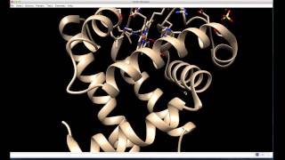 UCSF Chimera Basics [upl. by Milurd306]