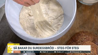 Baka det perfekta surdegsbrödet – steg för steg  Nyhetsmorgon TV4 [upl. by Lajes]