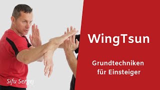 Wing Tsun in 5 Minuten  5 Grundtechniken für Einsteiger In Stuttgart [upl. by Gnas]