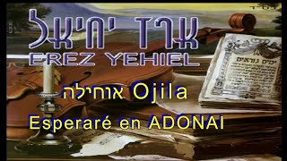 אוחילה  Ojila  Esperaré  Eretz Yehiel [upl. by Aufa]