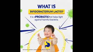 Bifidobacterium lactis – Helps maintain a Healthy Digestive System  6s [upl. by Nohsav]