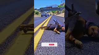 Dog Chop teach us true meaning of love by saving a cat  gta5 shorts trending viralvideo love [upl. by Adnawyek]