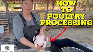 Pastured Poultry Processing  The Easy Way To Process and Butcher Chicken [upl. by Dnaleel]