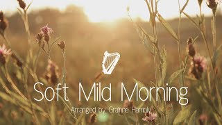 Soft Mild Morning  Traditional Irish Tune Arranged by Grainne Hambly  Played by Kathryn Lillich [upl. by Keegan]