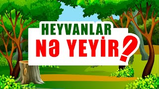 HEYVANLAR NƏ YEYİR BİRLİKDƏ ÖYRƏNƏK Azərbaycan dilində cizgi filmi [upl. by Nuawed]